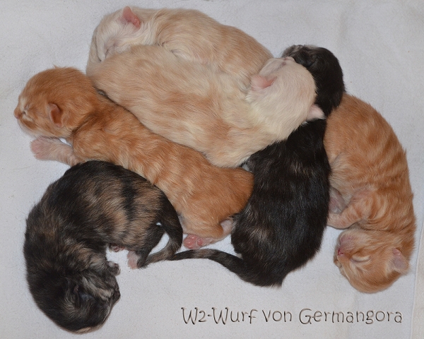 k-D70_1647 Kopie.jpg